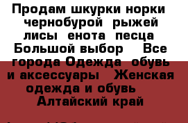 Продам шкурки норки, чернобурой, рыжей лисы, енота, песца. Большой выбор. - Все города Одежда, обувь и аксессуары » Женская одежда и обувь   . Алтайский край